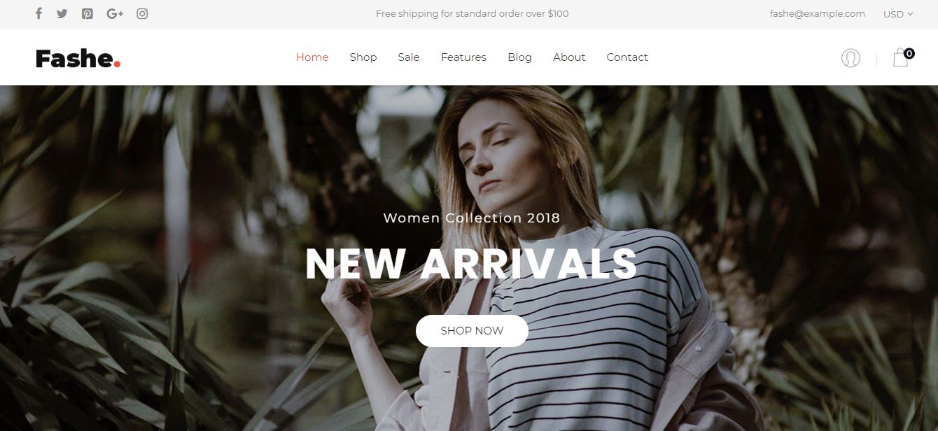 2022 年 20 大免费 Shopify 主题-第14张图片-Ceacer网络